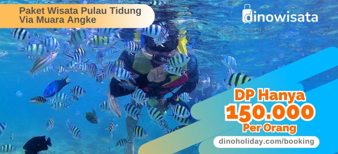 Booking Online Paket Wisata Pulau Tidung DP150K